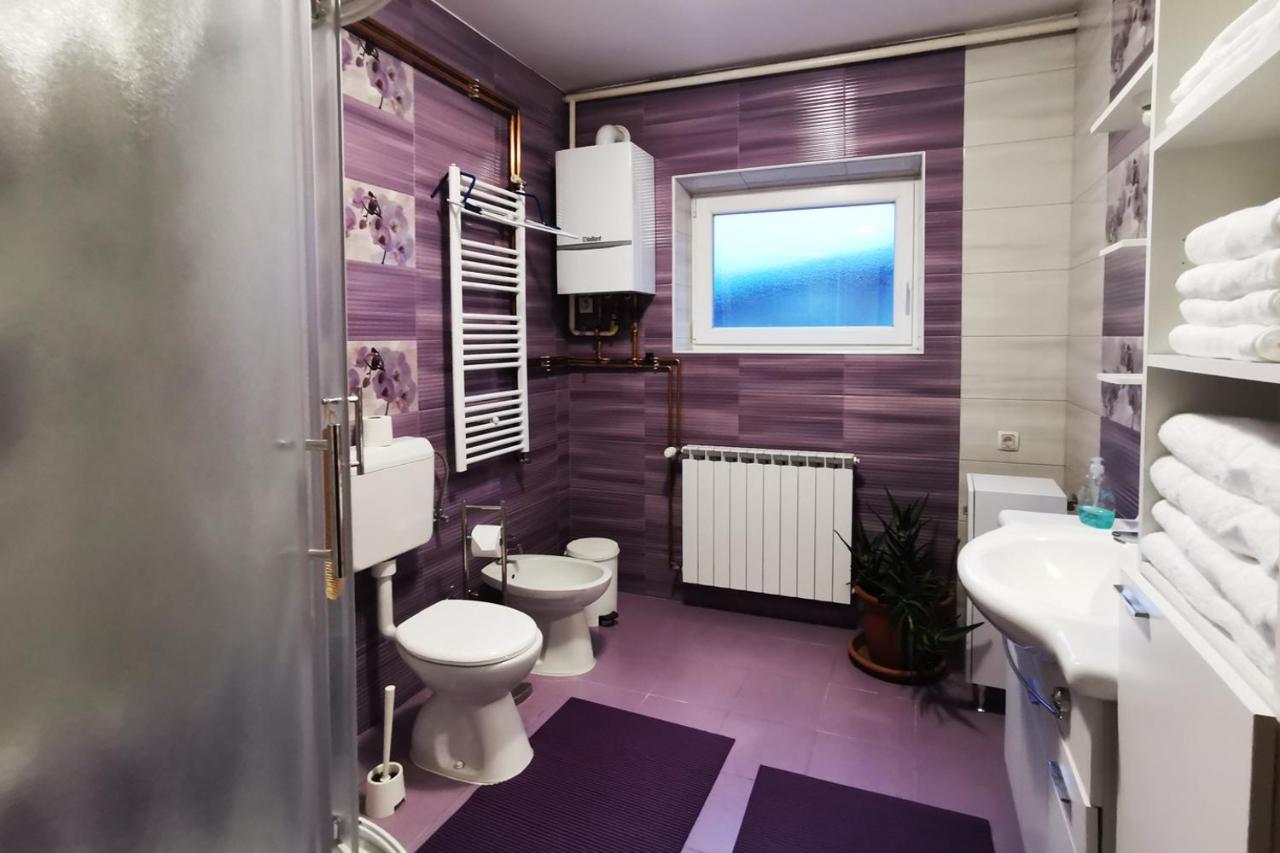 Apartman Skudar ビェロヴァル エクステリア 写真